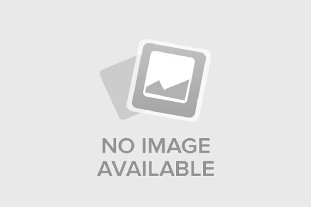 Война между сушей и морем